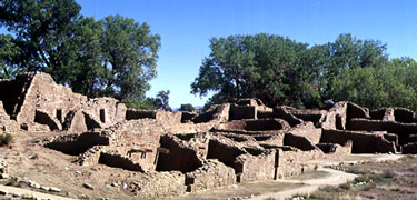 The Ruins in the Summer